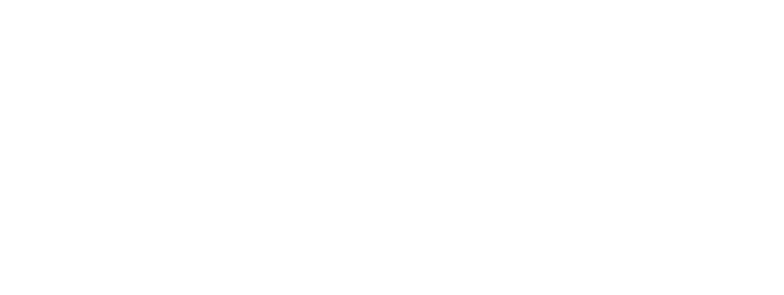 Roca Medica White Scaled